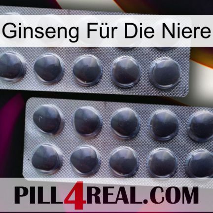 Ginseng Für Die Niere 31
